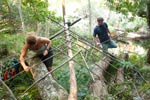 Survival Training